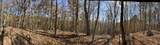  Parcel 053 050.00 Obes Branch Rd - Photo 9