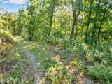 Lot Tr-1 Shell Mountain Rd - Photo 11