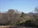  Lot 131 Estate Loop Tr - Photo 19