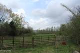 171 Gooseneck Lane - Photo 9