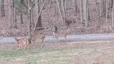 5726 Wolfenbarger Lane - Photo 58