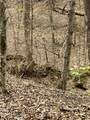 Green Hill Rd - Photo 11
