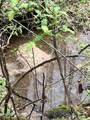  Green Hill Rd - Photo 13