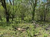 0 White Pine Rd Off Rd - Photo 9