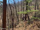  Mountain Folks Way - Photo 2