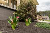 1105 Whirlaway Lane - Photo 42