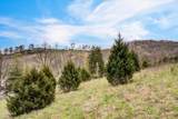 Lot 290 Maddox Lane - Photo 2