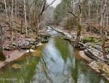 78ac Hollow Creek Lane - Photo 13