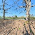  Claysville Road Lot 2 Rd - Photo 7