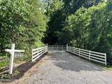 4732 Brown Gap Rd - Photo 3