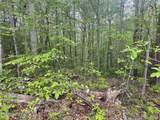 Lot 41 Black Maple Way - Photo 17