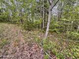Lot 41 Black Maple Way - Photo 18