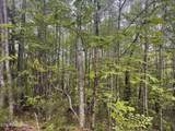Lot 41 Black Maple Way - Photo 23