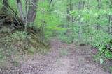 250 Mountain Side Lane - Photo 18