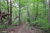 250 Mountain Side Lane - Photo 21