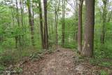 250 Mountain Side Lane - Photo 22