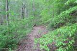 250 Mountain Side Lane - Photo 23