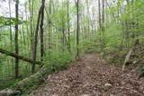 250 Mountain Side Lane - Photo 24