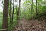 250 Mountain Side Lane - Photo 26