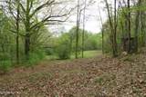 250 Mountain Side Lane - Photo 29