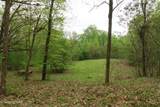 250 Mountain Side Lane - Photo 30
