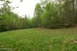 250 Mountain Side Lane - Photo 33