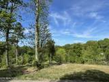 0 Williams Bend Rd - Photo 10