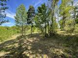 0 Williams Bend Rd - Photo 16