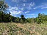 0 Williams Bend Rd - Photo 19
