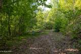 1017/1035 Big Buck Tr - Photo 10