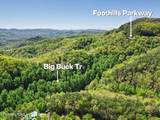 1017/1035 Big Buck Tr - Photo 7