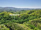 1017/1035 Big Buck Tr - Photo 9