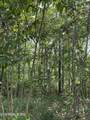lot 168 Saddleridge Drive - Photo 2