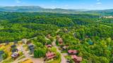 1571 Rainbow Ridge Rd - Photo 45
