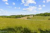 lot 44 Holston River Drive - Photo 4
