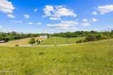 lot 44 Holston River Drive - Photo 7