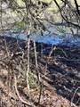  Laurel Lake Circle Lot 43 - Photo 7