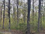 0 Gray Rock View - Photo 11