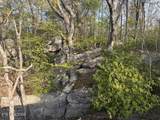 0 Gray Rock View - Photo 5