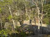 0 Gray Rock View - Photo 8