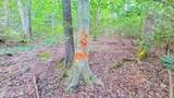 0 Ginseng Way - Photo 5