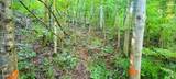 0 Ginseng Way - Photo 6