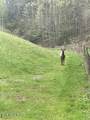 0 Barnes Hollow Rd - Photo 21