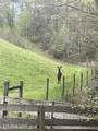 0 Barnes Hollow Rd - Photo 22