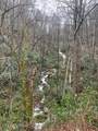 0 Barnes Hollow Rd - Photo 23