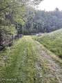 0 Barnes Hollow Rd - Photo 32