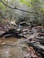 0 Barnes Hollow Rd - Photo 39