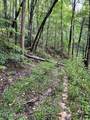 0 Barnes Hollow Rd - Photo 45