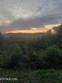 0 Barnes Hollow Rd - Photo 48