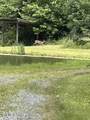 0 Barnes Hollow Rd - Photo 7